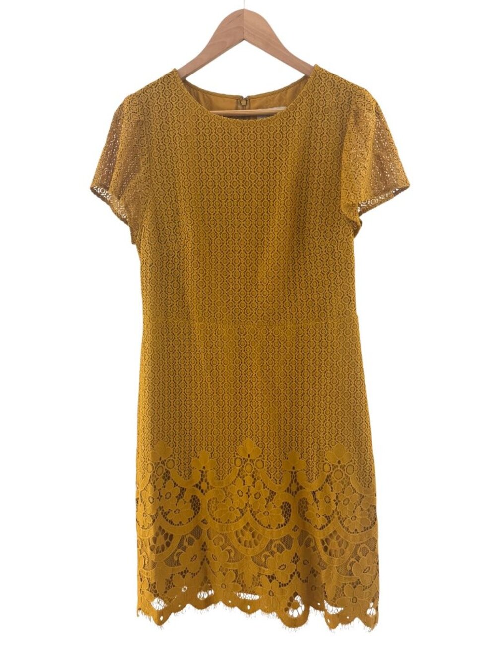 LOFT Gold Mustard Lace Short Sleeve Sheath Dress Size M Summer Wedding Party - Picture 2 of 8